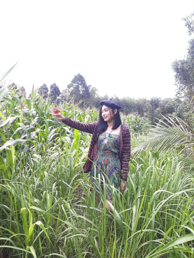 Cat Tien Farmer Lodge Quan Tom 외부 사진